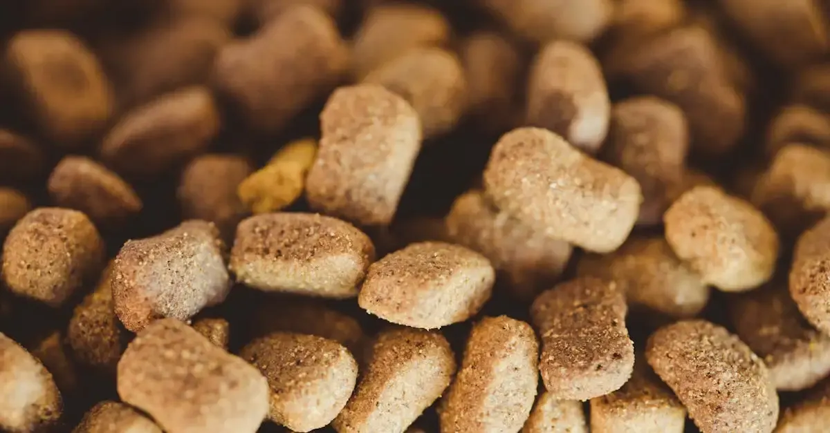 Hundefutter Preis Leistung: Das beste Futter finden
